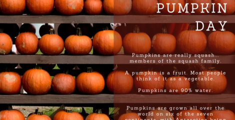 National Pumpkin Day